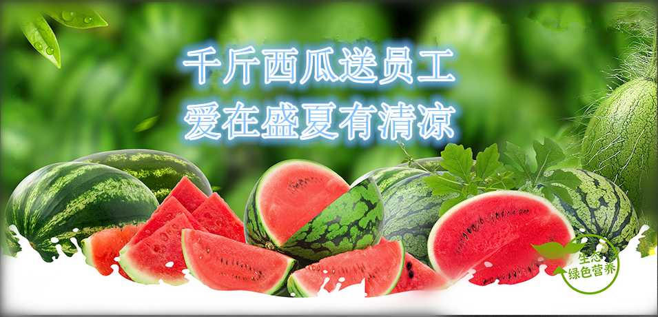 通達(dá)軟件公司： 千斤西瓜送員工，愛(ài)在盛夏有清涼